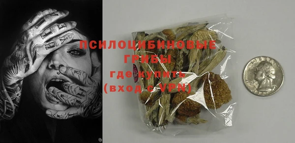 ГАЛЛЮЦИНОГЕННЫЕ ГРИБЫ Магас