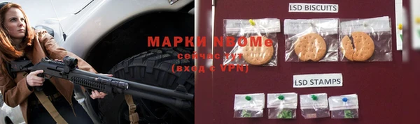 ГАЛЛЮЦИНОГЕННЫЕ ГРИБЫ Магас