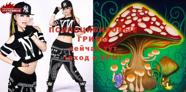 ГАЛЛЮЦИНОГЕННЫЕ ГРИБЫ Магас