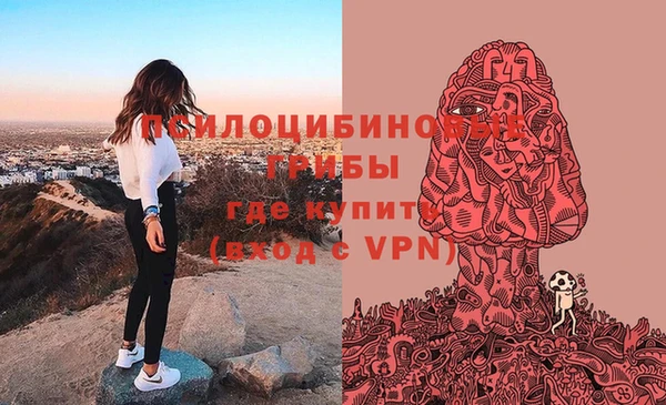 ГАЛЛЮЦИНОГЕННЫЕ ГРИБЫ Магас